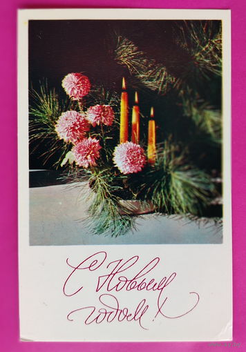 С новым годом! Чистая. 1975 года. Игнатович. 2392.