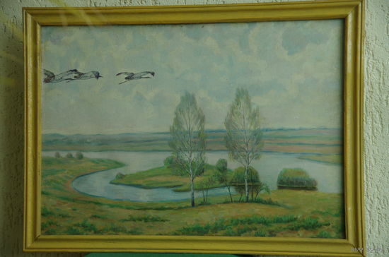 Картина ,масло , холст  (  50 х 71 )