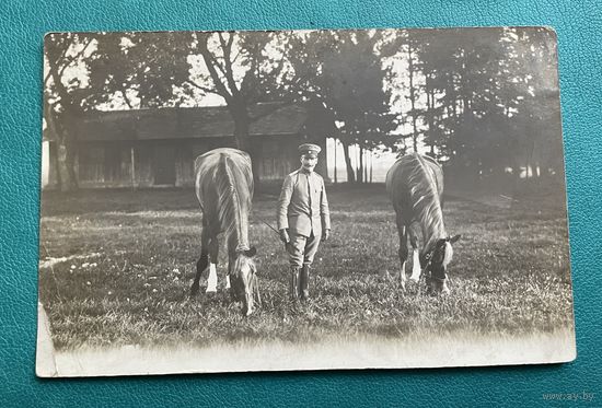 Фотооткрытка 1 Мировая война Германия офицер в униформе с лошадьми / полевой лагерь