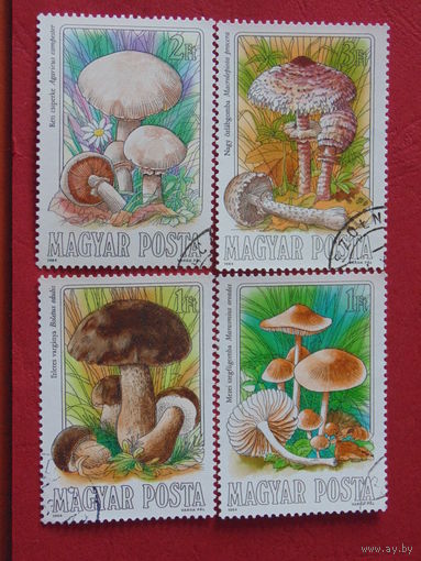 Венгрия 1984 г. Грибы.