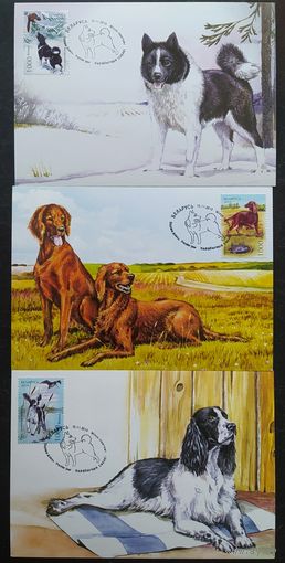 Беларусь 2010 КМ охотничьи собаки .