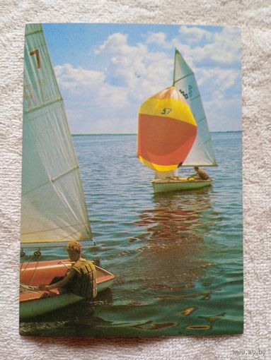 Парусник. Фото