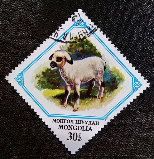Марка Монголия 1982 год Фауна