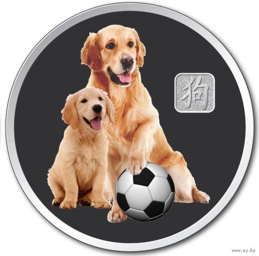 Лаос 2018г. Футбол Год собаки Серебро Пруф!