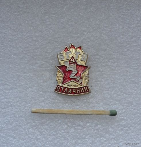 Отличник БГТО.