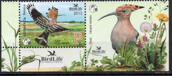 Беларусь 2013. Птица года. Удод. 1 марка+купон 949 (641)