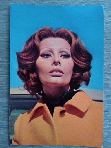 Актриса Софи Лорен