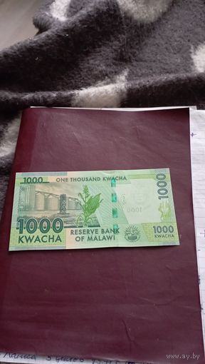 МАЛАВИ 1000 квача 2020 год