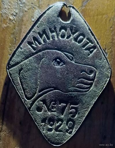 Собачий жетон