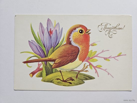 Пешехонов 1989 Поздравляю