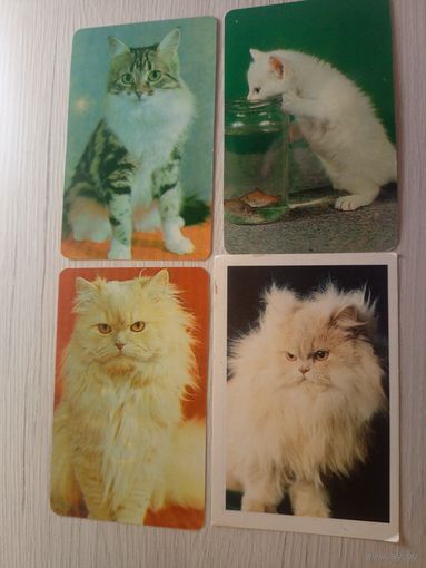 Календарики одним лотом