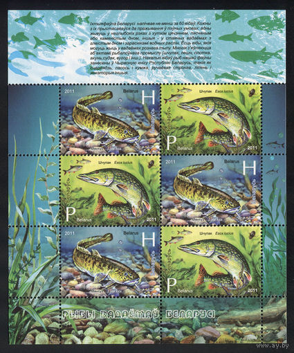 2011_Рыбы водоемов Беларуси.