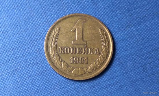 1 копейка 1981. СССР.