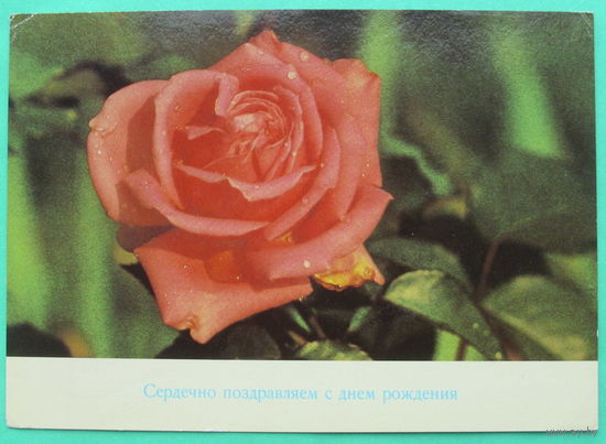 Сердечно поздравляю с Днём рождения! Чистая. ГДР для СССР.