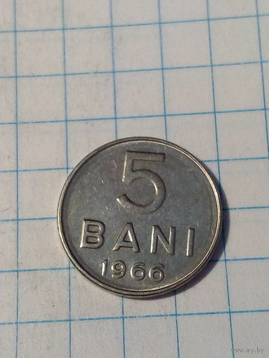 5 бани Румыния 1966 год