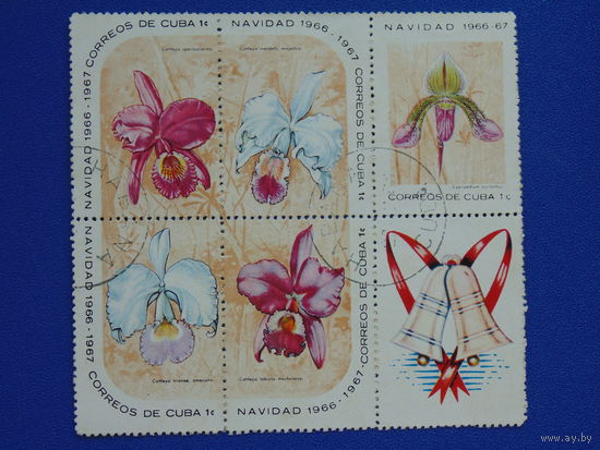 Куба. Флора 1966г.-2