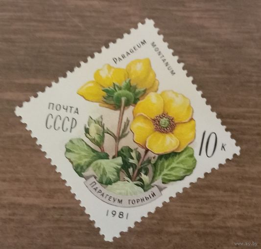 Марка СССР 1981 цветы ромб