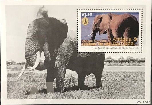 Марки Барбуды. Фауна. Sierra Club. 1994г.