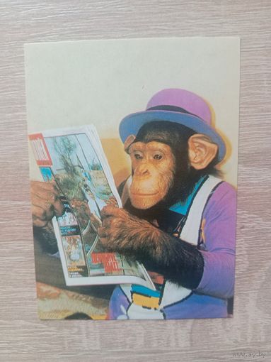 Календарик 1992