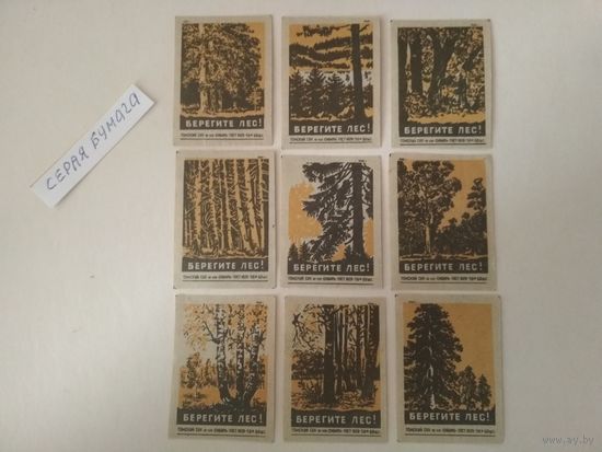 Спичечные этикетки ф.Сибирь. Берегите лес. 1960 год