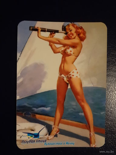 Календарик 2005 г.  Голубая птица. Путешествие в мечту.