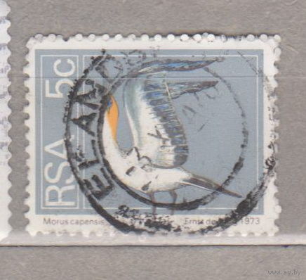 Птицы Фауна ЮАР 1973 год   лот 1005