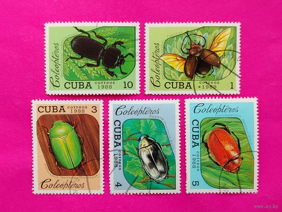 Куба. Жуки. ( 5 марок ) 1988 года. 2-14.