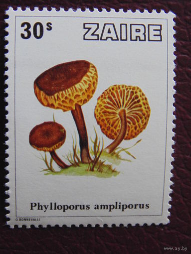 Заир. Грибы.