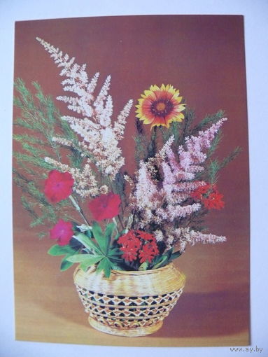 Круцко Л.(фото), Букет, 1982, чистая.