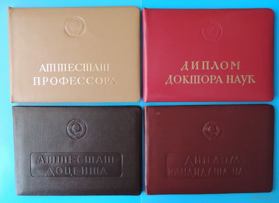 Комплект документов на одно лицо (дипломы, аттестаты, грамоты, свидетельства, альбом, фото, характеристики и др.)