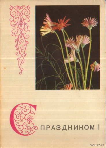 Подписанная открытка 1968г. БССР "С праздником! Цветы" фото А. и М. Ананьины, худ. В. Пастушков