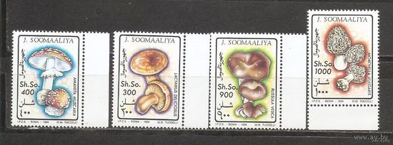 Сомали 1994 Флора Грибы   MNH