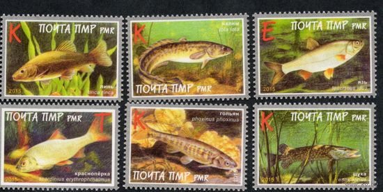 ПМР Приднестровье 2015. Рыбы. 6 марок (508)