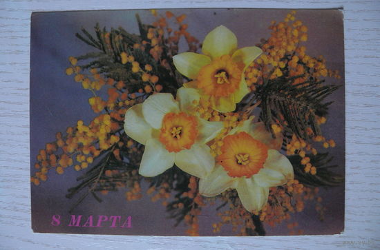 Дергилев И., 8 Марта; 1989, подписана.