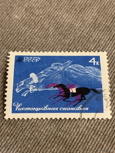 СССР 1968. Виды лошадей. Чистокровная скаковая. Марка из серии