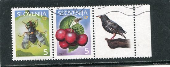 Словения. Фауна, сцепка