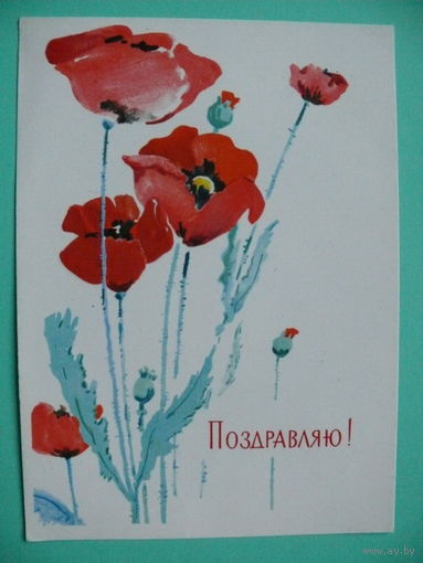 Дерягин Г., Поздравляю! 1963, подписана.