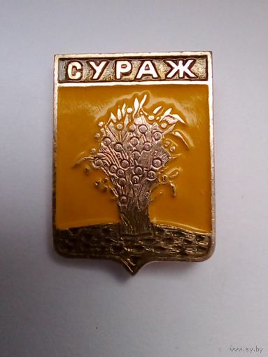 Значок.Сураж.