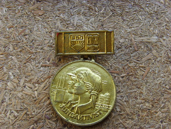 Знак ГДР Юный активист Jungaktivist