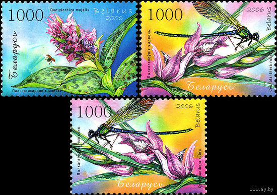 Орхидеи Беларусь 2006 год (670-672)  серия из 3-х марок