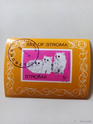 СТРОМА.Кошки. Блок