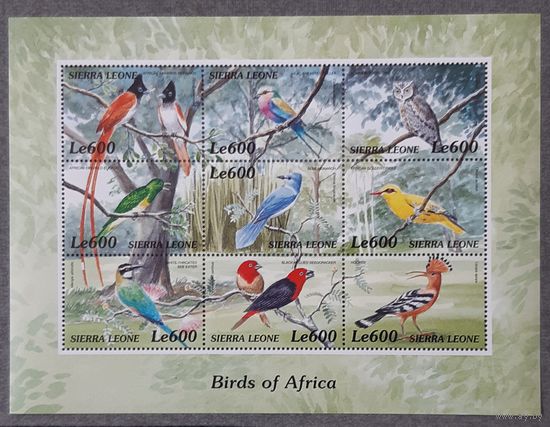 2000  Птицы Африки Сьерра -Леоне