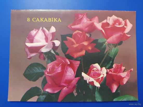 8 сакавіка