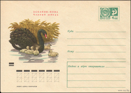Художественный маркированный конверт СССР N 7355 (11.12.1970) Аскания-Нова  Черный лебедь