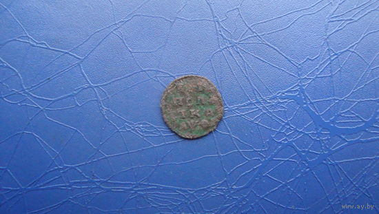 Полушка Петровская 1719 год буквами (R1)                                                    (1203)