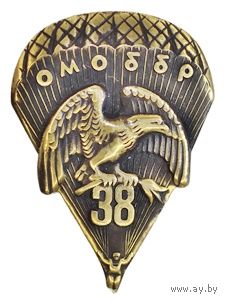 38 омоббр (38 отдельная мобильная бригада)