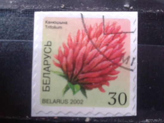 2002 Стандарт, клевер