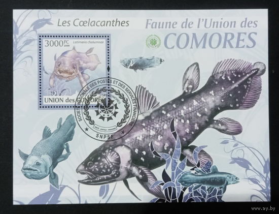 ЛИСТ ФАУНА рыбы морские обитатели  СТО