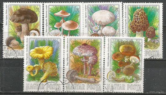 Венгрия. Грибы.1984г. Mi#3708-14. Серия.
