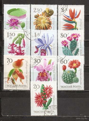 ФФ2 Венгрия 1965 Цветы гаш